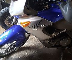 2007 Aprilia Pegaso