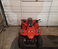 2016 Quadzilla Buzz 50