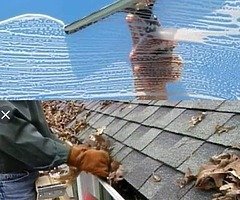 Window and gutter cleaning