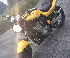 **Suzuki bandit**