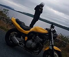 **Suzuki bandit** - Image 4/4