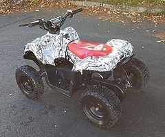 Kids electric professional quad from muckandfun