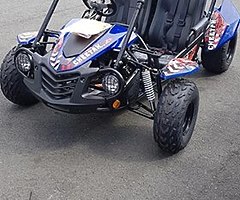 Quadzillla cheetah 150 family buggy