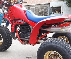 1984 honda 250r atc trike - Image 4/5