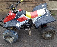 quad pitbike