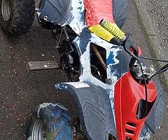 quad pitbike