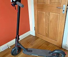 Electric Scooter