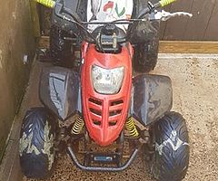 pitbike quad 125cc - Image 8/9