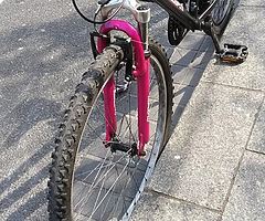 Bicicleta REVISADA