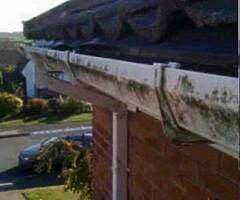 Power washing and gutters cleaned  - Image 4/6