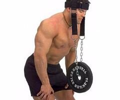 Quality Weight Lifting Head Harness.