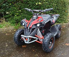 2021 Storm Renegade 1000w 36v Electric Kids Quad