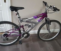 Ladies bike