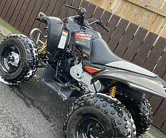 2021 Quadzilla Stinger