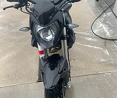 2021 Benelli Bn