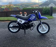 2006 Yamaha  Pw50