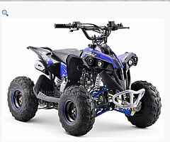 2022 RENEGADE QUAD BIKE (Brand new) RENEGADE KIDS QUAD BIKE 100cc