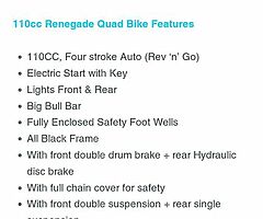 2022 RENEGADE QUAD BIKE (Brand new) RENEGADE KIDS QUAD BIKE 100cc