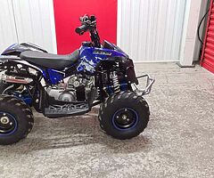 2022 RENEGADE QUAD BIKE (Brand new) RENEGADE KIDS QUAD BIKE 100cc - Image 6/10