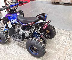 2022 RENEGADE QUAD BIKE (Brand new) RENEGADE KIDS QUAD BIKE 100cc - Image 9/10