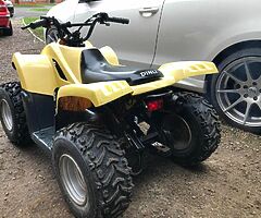 100cc dinli quad