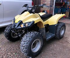 100cc dinli quad