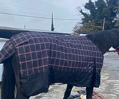 Horse rugs & horse harness