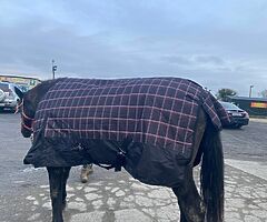 Horse rugs & horse harness