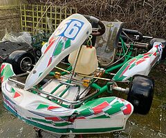 TONY KART 125 ROTAX ENGINE