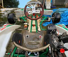 TONY KART 125 ROTAX ENGINE - Image 5/8