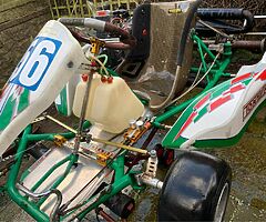 TONY KART 125 ROTAX ENGINE - Image 6/8