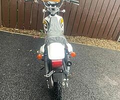 Brand new lifan enduro 100cc 2stroke it would make class Christmas present £1000