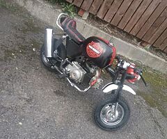 Restored everything is brand new on it fun little bike I have the log book in my name £700 or swap