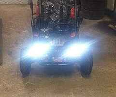 2020 Wolf Buggy