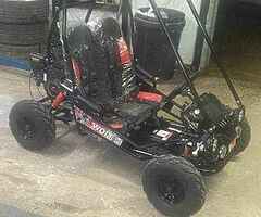 2020 Wolf Buggy - Image 4/4