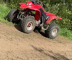 2002 Honda 250