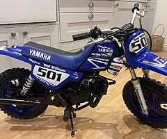 2019 Yamaha PW