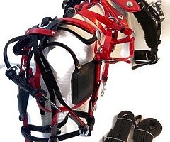 Horse harness