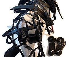 Horse harness