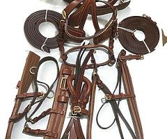 Horse harness - Image 10/10