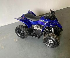 2021 Yamaha Yfz 50