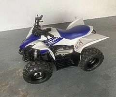 2021 Yamaha Yfz 50