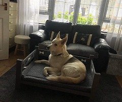 Dog bed  and bowls - Image 4/10