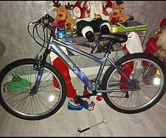 Ladies jewel brand new bike