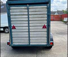 1979 Ifor Williams  Sheep trailer