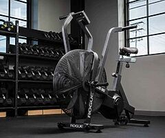 Rogue Echo bike assault bike exercise bike