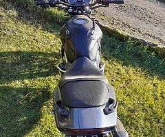 Bandit 1200 - Image 5/8