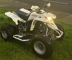 2007 Yamaha  Blaster - Image 5/5