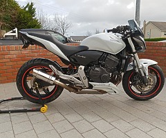 Honda hornet 600 - Image 14/14