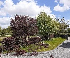 Landscape and tree surgery services - Image 7/9